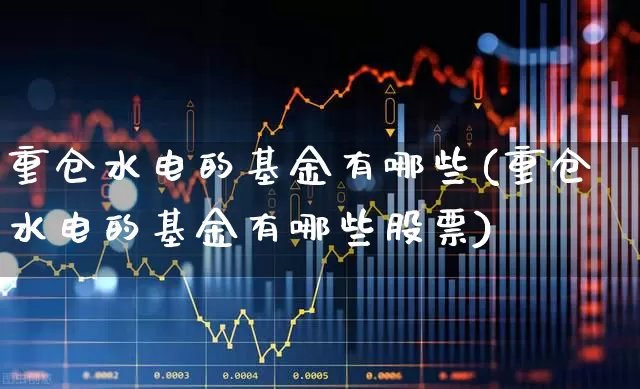 重仓水电的基金有哪些(重仓水电的基金有哪些股票)_https://www.nalian8.com_北交所_第1张