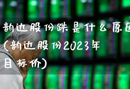 韵达股份跌是什么原因(韵达股份2023年目标价)_https://www.nalian8.com_创业板_第1张