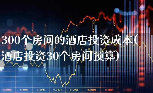 300个房间的酒店投资成本(酒店投资30个房间预算)_https://www.nalian8.com_北交所_第1张