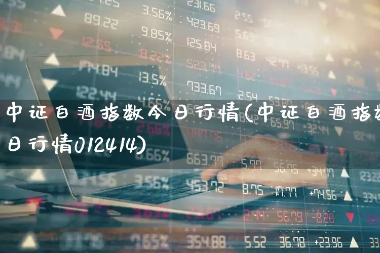 中证白酒指数今日行情(中证白酒指数今日行情012414)_https://www.nalian8.com_科创板_第1张