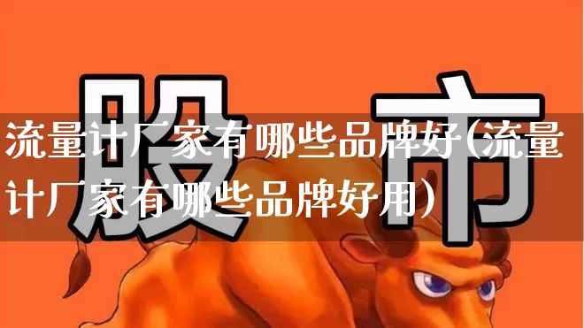 流量计厂家有哪些品牌好(流量计厂家有哪些品牌好用)_https://www.nalian8.com_北交所_第1张