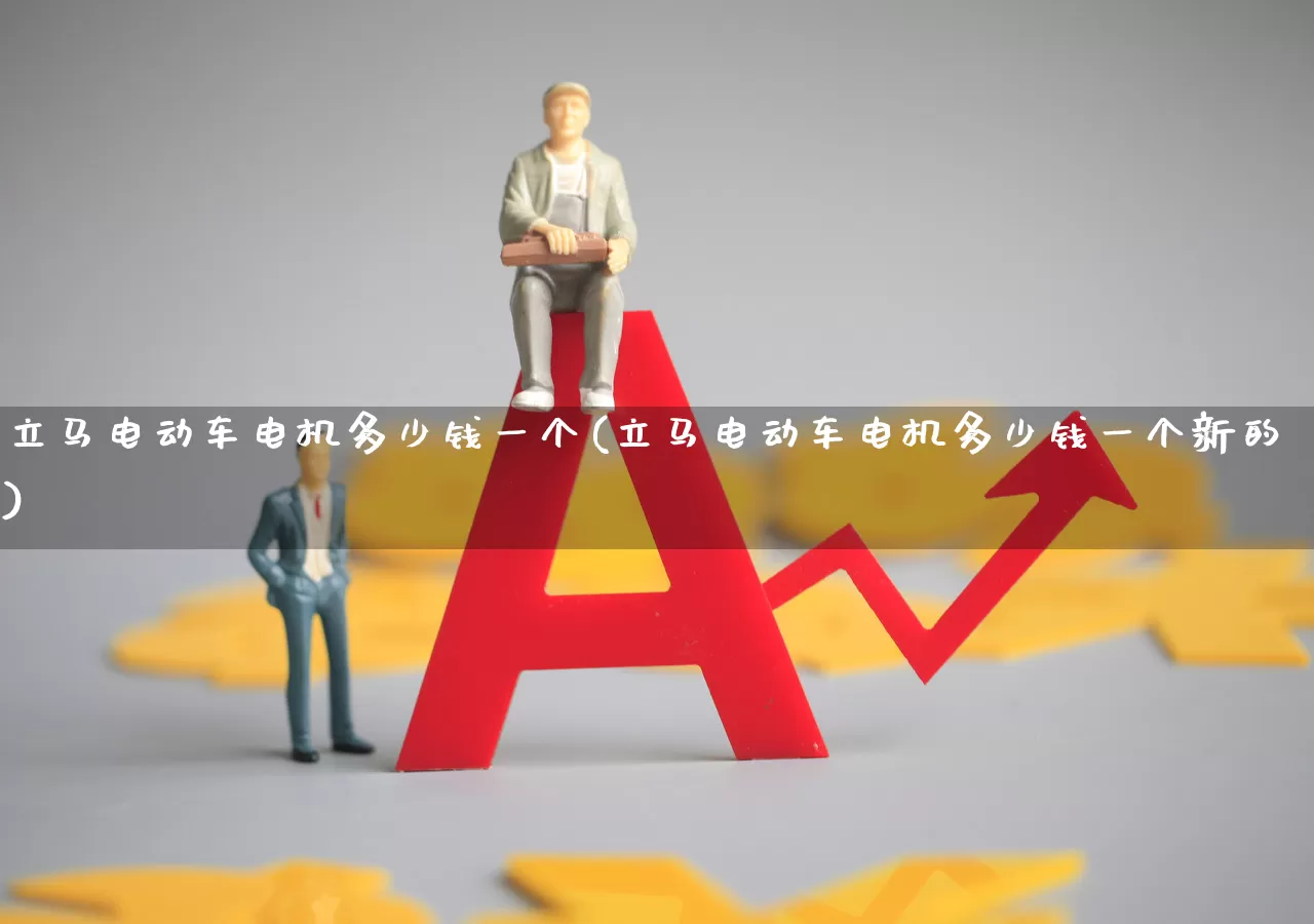 立马电动车电机多少钱一个(立马电动车电机多少钱一个新的)_https://www.nalian8.com_科创板_第1张