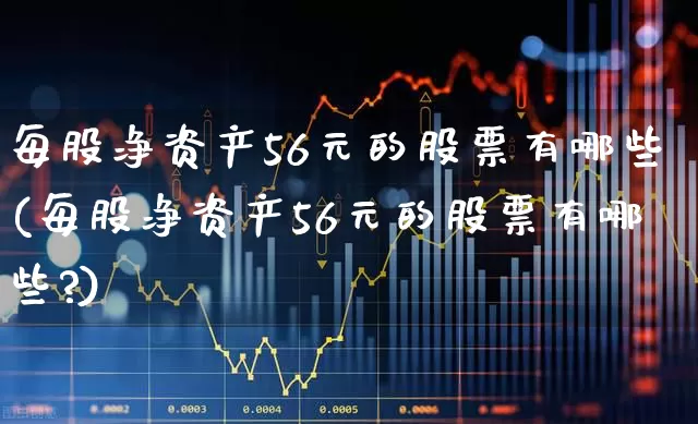 每股净资产56元的股票有哪些(每股净资产56元的股票有哪些?)_https://www.nalian8.com_深交所_第1张