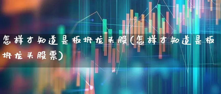 怎样才知道是板块龙头股(怎样才知道是板块龙头股票)_https://www.nalian8.com_上交所_第1张