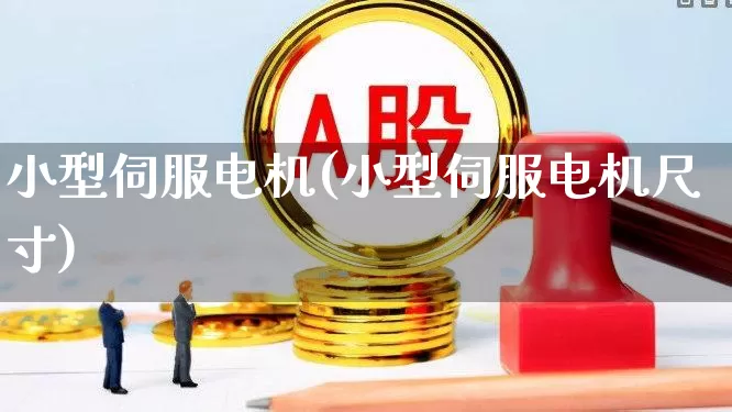 小型伺服电机(小型伺服电机尺寸)_https://www.nalian8.com_深交所_第1张