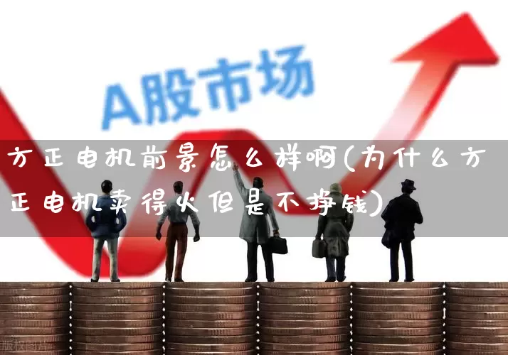 方正电机前景怎么样啊(为什么方正电机卖得火但是不挣钱)_https://www.nalian8.com_科创板_第1张