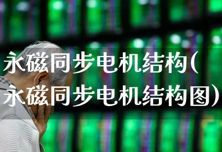 永磁同步电机结构(永磁同步电机结构图)_https://www.nalian8.com_北交所_第1张