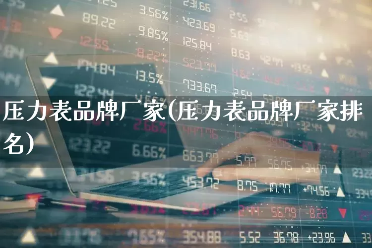 压力表品牌厂家(压力表品牌厂家排名)_https://www.nalian8.com_深交所_第1张