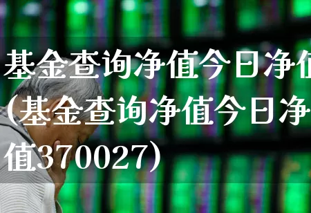 基金查询净值今日净值(基金查询净值今日净值370027)_https://www.nalian8.com_北交所_第1张