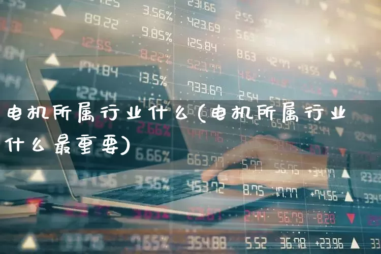 电机所属行业什么(电机所属行业什么最重要)_https://www.nalian8.com_科创板_第1张