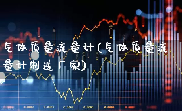气体质量流量计(气体质量流量计制造厂家)_https://www.nalian8.com_北交所_第1张
