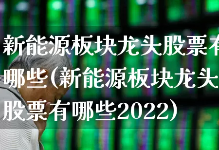 新能源板块龙头股票有哪些(新能源板块龙头股票有哪些2022)_https://www.nalian8.com_北交所_第1张