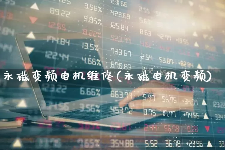 永磁变频电机维修(永磁电机变频)_https://www.nalian8.com_北交所_第1张