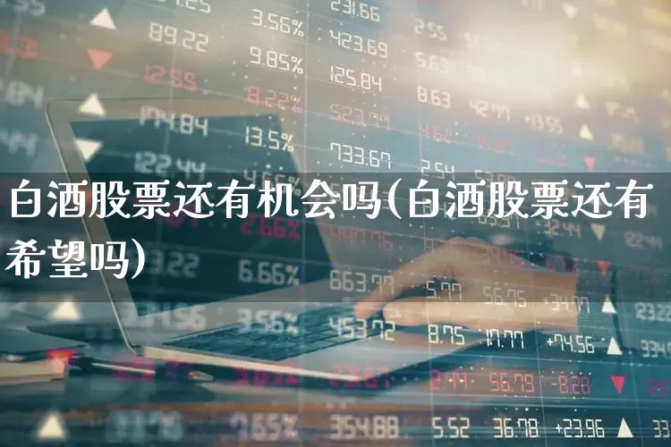 白酒股票还有机会吗(白酒股票还有希望吗)_https://www.nalian8.com_科创板_第1张