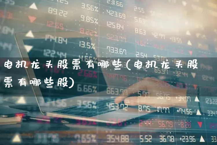 电机龙头股票有哪些(电机龙头股票有哪些股)_https://www.nalian8.com_深交所_第1张