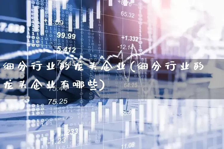 细分行业的龙头企业(细分行业的龙头企业有哪些)_https://www.nalian8.com_科创板_第1张