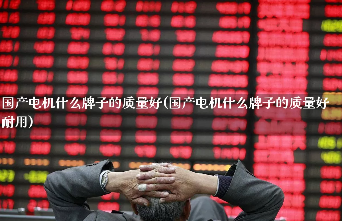 国产电机什么牌子的质量好(国产电机什么牌子的质量好耐用)_https://www.nalian8.com_北交所_第1张