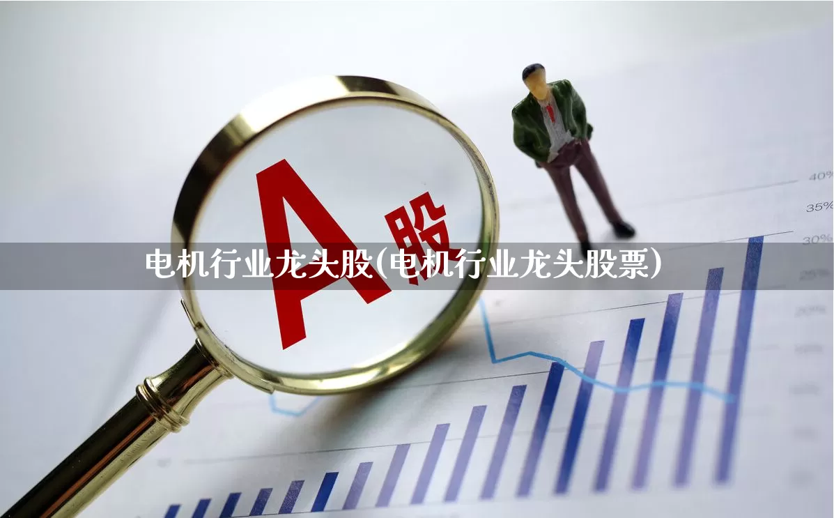 电机行业龙头股(电机行业龙头股票)_https://www.nalian8.com_深交所_第1张