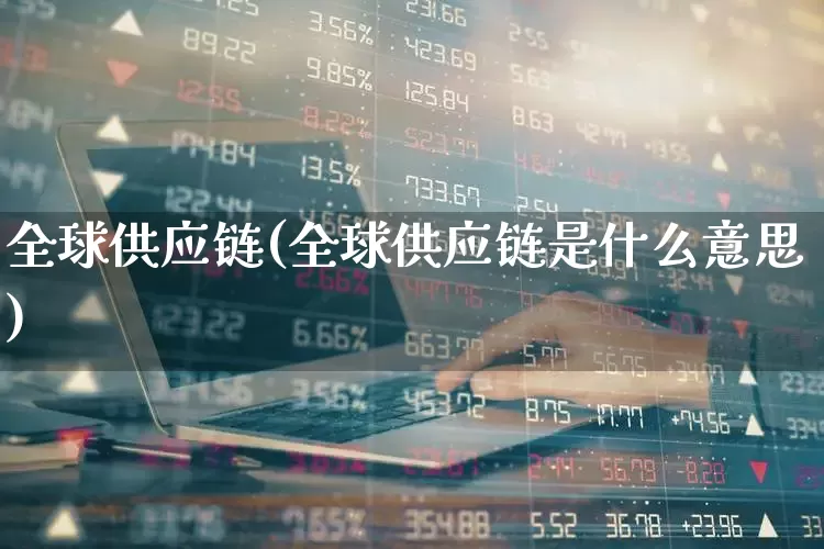 全球供应链(全球供应链是什么意思)_https://www.nalian8.com_深交所_第1张