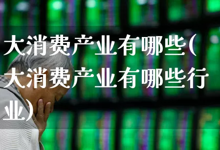 大消费产业有哪些(大消费产业有哪些行业)_https://www.nalian8.com_北交所_第1张