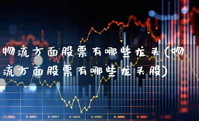 物流方面股票有哪些龙头(物流方面股票有哪些龙头股)_https://www.nalian8.com_创业板_第1张