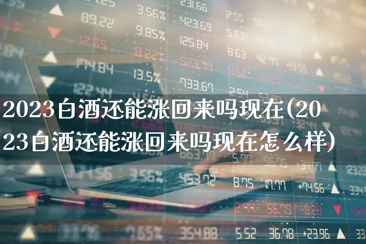 2023白酒还能涨回来吗现在(2023白酒还能涨回来吗现在怎么样)_https://www.nalian8.com_上交所_第1张