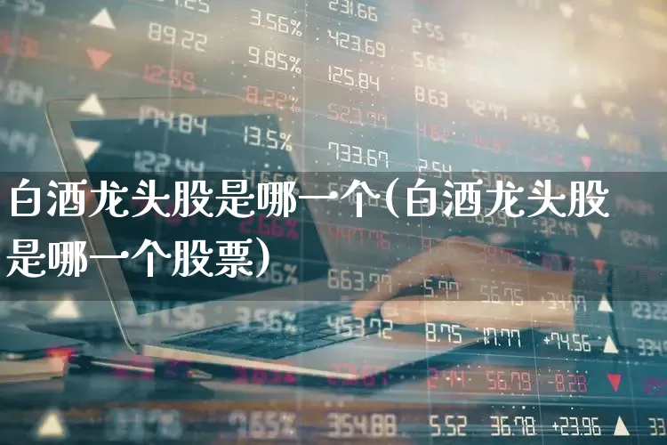 白酒龙头股是哪一个(白酒龙头股是哪一个股票)_https://www.nalian8.com_北交所_第1张
