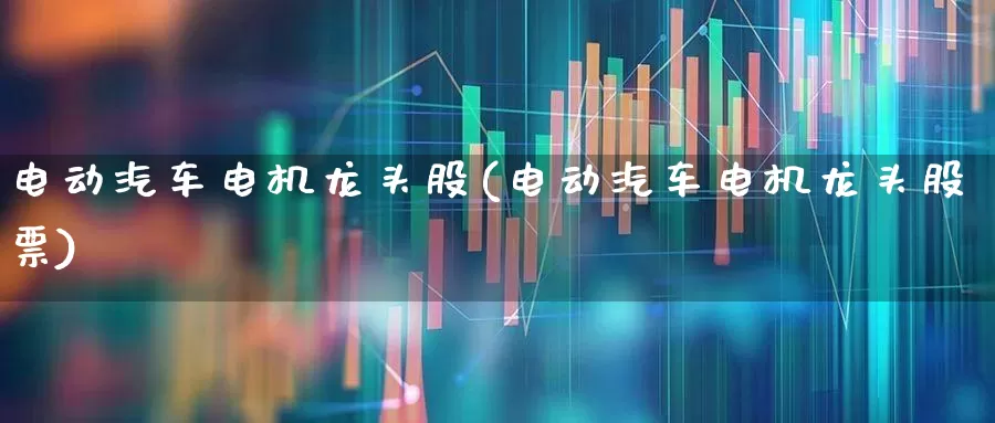 电动汽车电机龙头股(电动汽车电机龙头股票)_https://www.nalian8.com_上交所_第1张