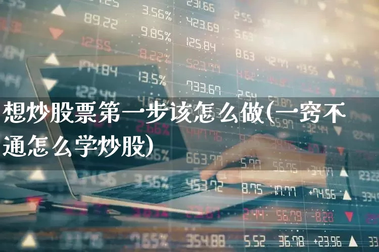想炒股票第一步该怎么做(一窍不通怎么学炒股)_https://www.nalian8.com_科创板_第1张