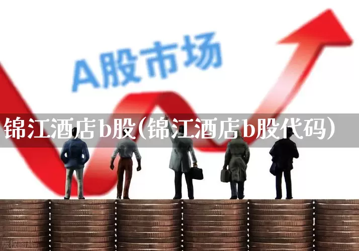 锦江酒店b股(锦江酒店b股代码)_https://www.nalian8.com_上交所_第1张
