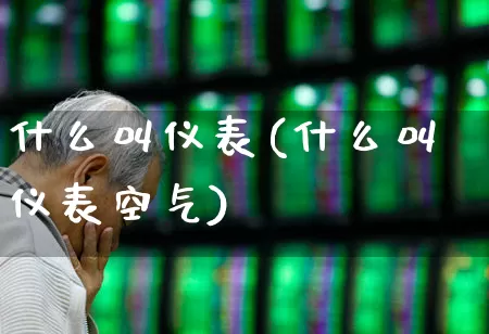 什么叫仪表(什么叫仪表空气)_https://www.nalian8.com_创业板_第1张