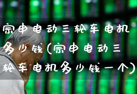 宗申电动三轮车电机多少钱(宗申电动三轮车电机多少钱一个)_https://www.nalian8.com_科创板_第1张