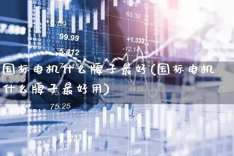 国标电机什么牌子最好(国标电机什么牌子最好用)_https://www.nalian8.com_北交所_第1张