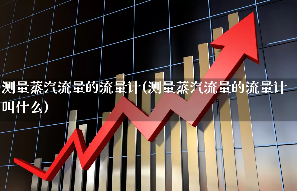 测量蒸汽流量的流量计(测量蒸汽流量的流量计叫什么)_https://www.nalian8.com_深交所_第1张
