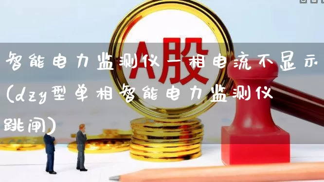 智能电力监测仪一相电流不显示(dzy型单相智能电力监测仪跳闸)_https://www.nalian8.com_北交所_第1张