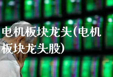 电机板块龙头(电机板块龙头股)_https://www.nalian8.com_北交所_第1张