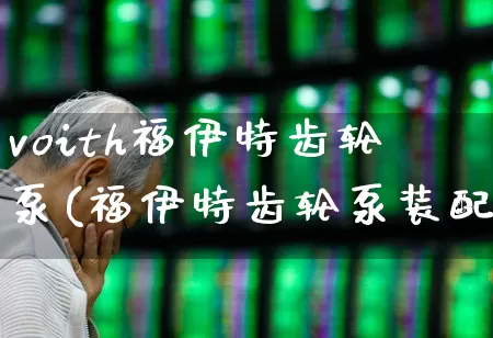 voith福伊特齿轮泵(福伊特齿轮泵装配)_https://www.nalian8.com_深交所_第1张