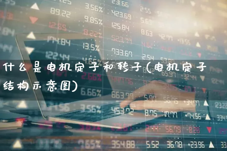 什么是电机定子和转子(电机定子结构示意图)_https://www.nalian8.com_科创板_第1张