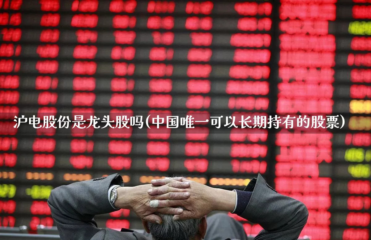 沪电股份是龙头股吗(中国唯一可以长期持有的股票)_https://www.nalian8.com_深交所_第1张
