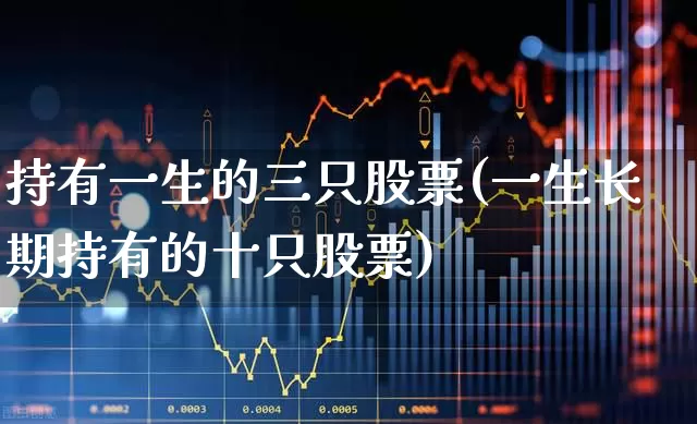 持有一生的三只股票(一生长期持有的十只股票)_https://www.nalian8.com_科创板_第1张