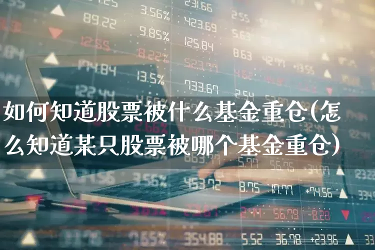 如何知道股票被什么基金重仓(怎么知道某只股票被哪个基金重仓)_https://www.nalian8.com_科创板_第1张