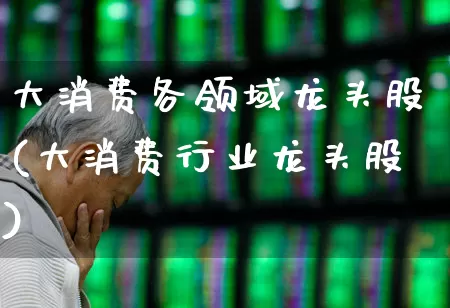 大消费各领域龙头股(大消费行业龙头股)_https://www.nalian8.com_深交所_第1张