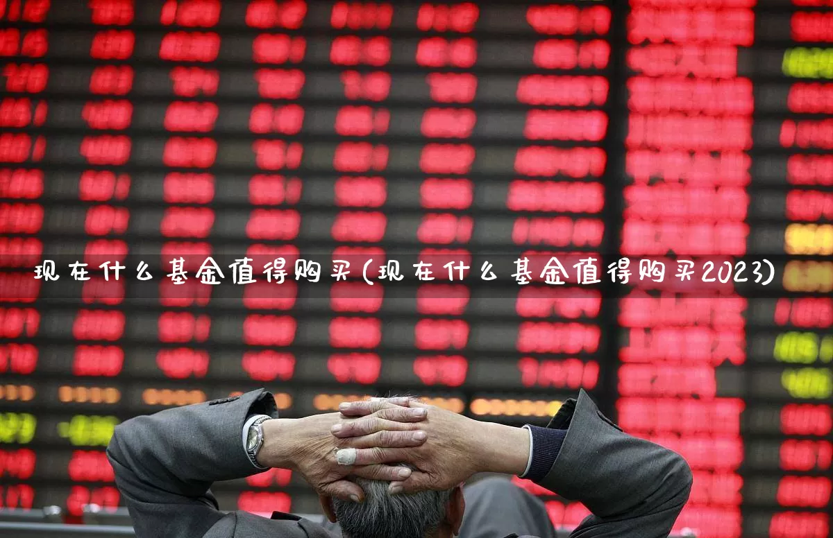 现在什么基金值得购买(现在什么基金值得购买2023)_https://www.nalian8.com_北交所_第1张
