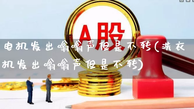 电机发出嗡嗡声但是不转(洗衣机发出嗡嗡声但是不转)_https://www.nalian8.com_北交所_第1张