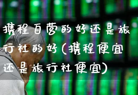 携程自营的好还是旅行社的好(携程便宜还是旅行社便宜)_https://www.nalian8.com_北交所_第1张