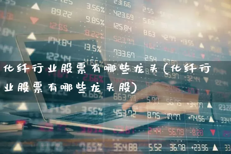 化纤行业股票有哪些龙头(化纤行业股票有哪些龙头股)_https://www.nalian8.com_深交所_第1张