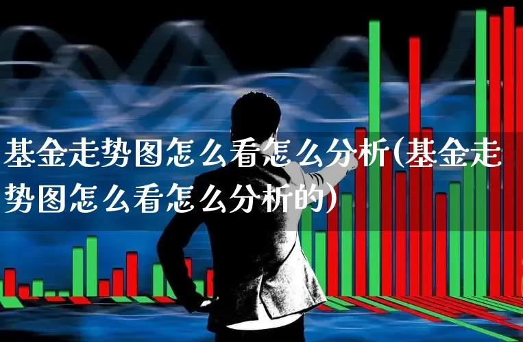 基金走势图怎么看怎么分析(基金走势图怎么看怎么分析的)_https://www.nalian8.com_创业板_第1张