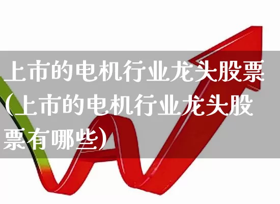 上市的电机行业龙头股票(上市的电机行业龙头股票有哪些)_https://www.nalian8.com_深交所_第1张