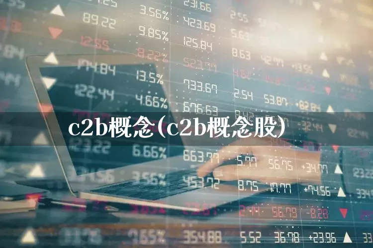 c2b概念(c2b概念股)_https://www.nalian8.com_深交所_第1张