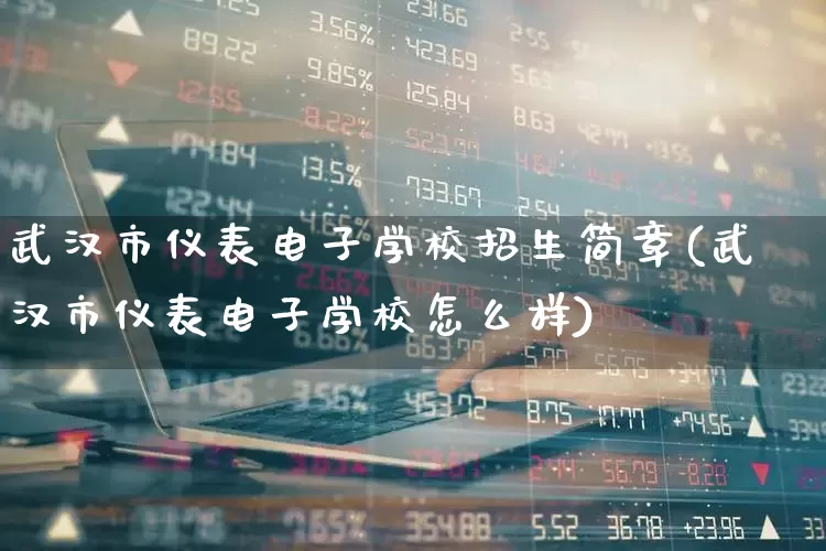 武汉市仪表电子学校招生简章(武汉市仪表电子学校怎么样)_https://www.nalian8.com_上交所_第1张